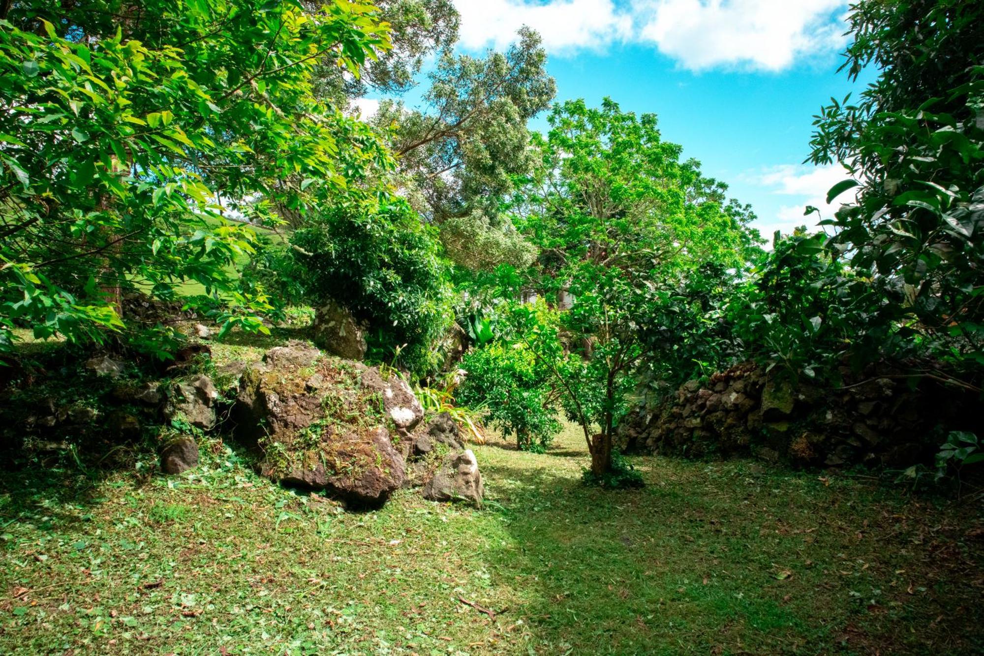 Casa De Campo Franco Da Serra أنغرا دو إِراويزو المظهر الخارجي الصورة