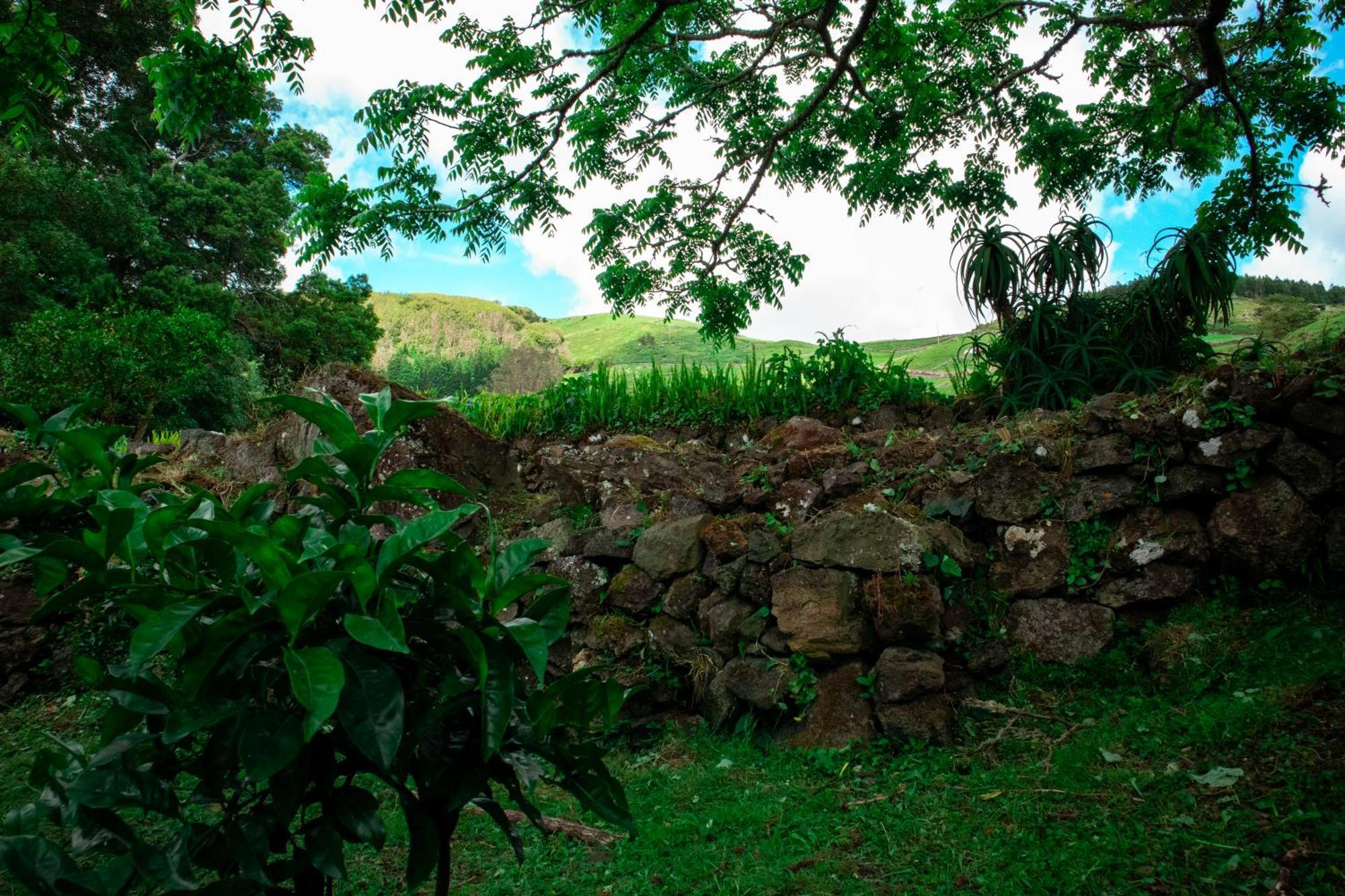 Casa De Campo Franco Da Serra أنغرا دو إِراويزو المظهر الخارجي الصورة